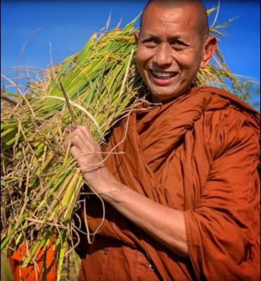 กิจกรรมฮ่วมแฮง ฮ่วมใจ สืบสานประเพณีเกี่ยวข้าวบูชาพระแม่โพสพ ปี 2565 